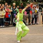 Kung fu corner nel Kowloon Park 